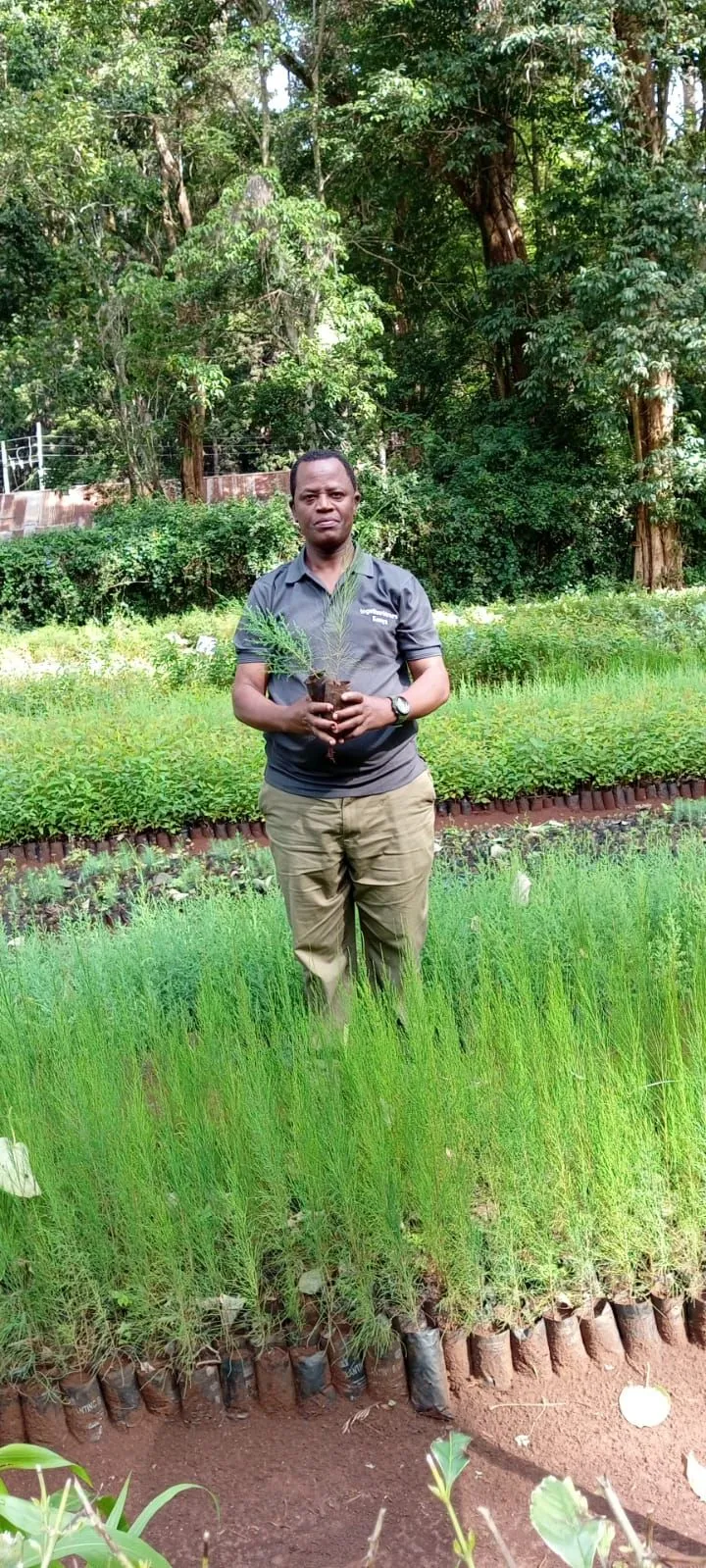 SightSpan Green Impact -
01