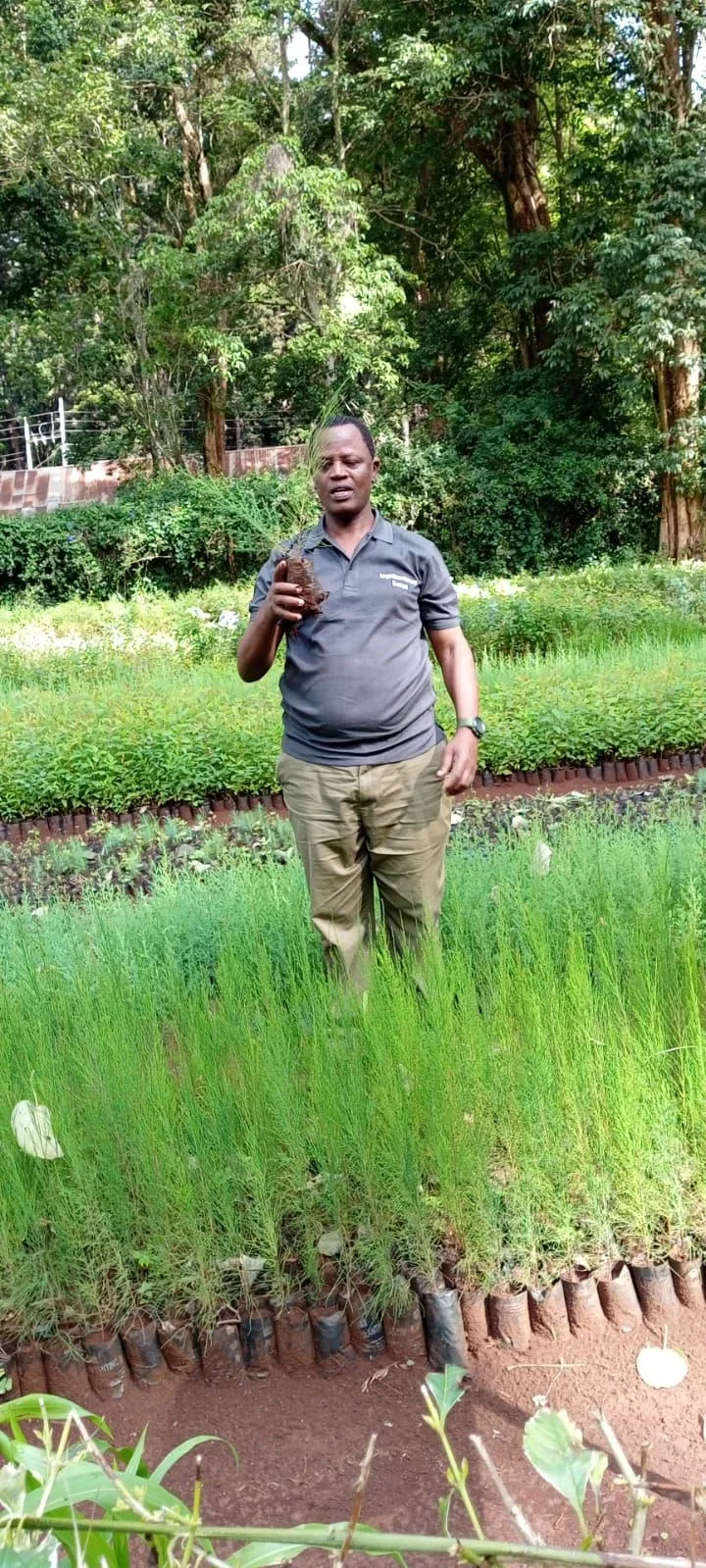 SightSpan Green Impact -
02