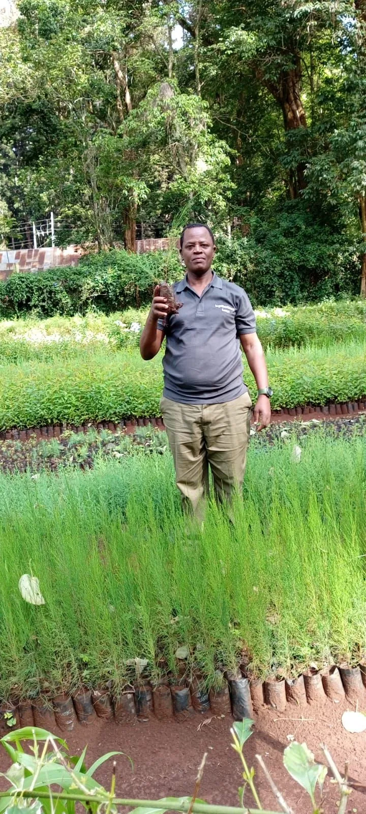 SightSpan Green Impact -
03